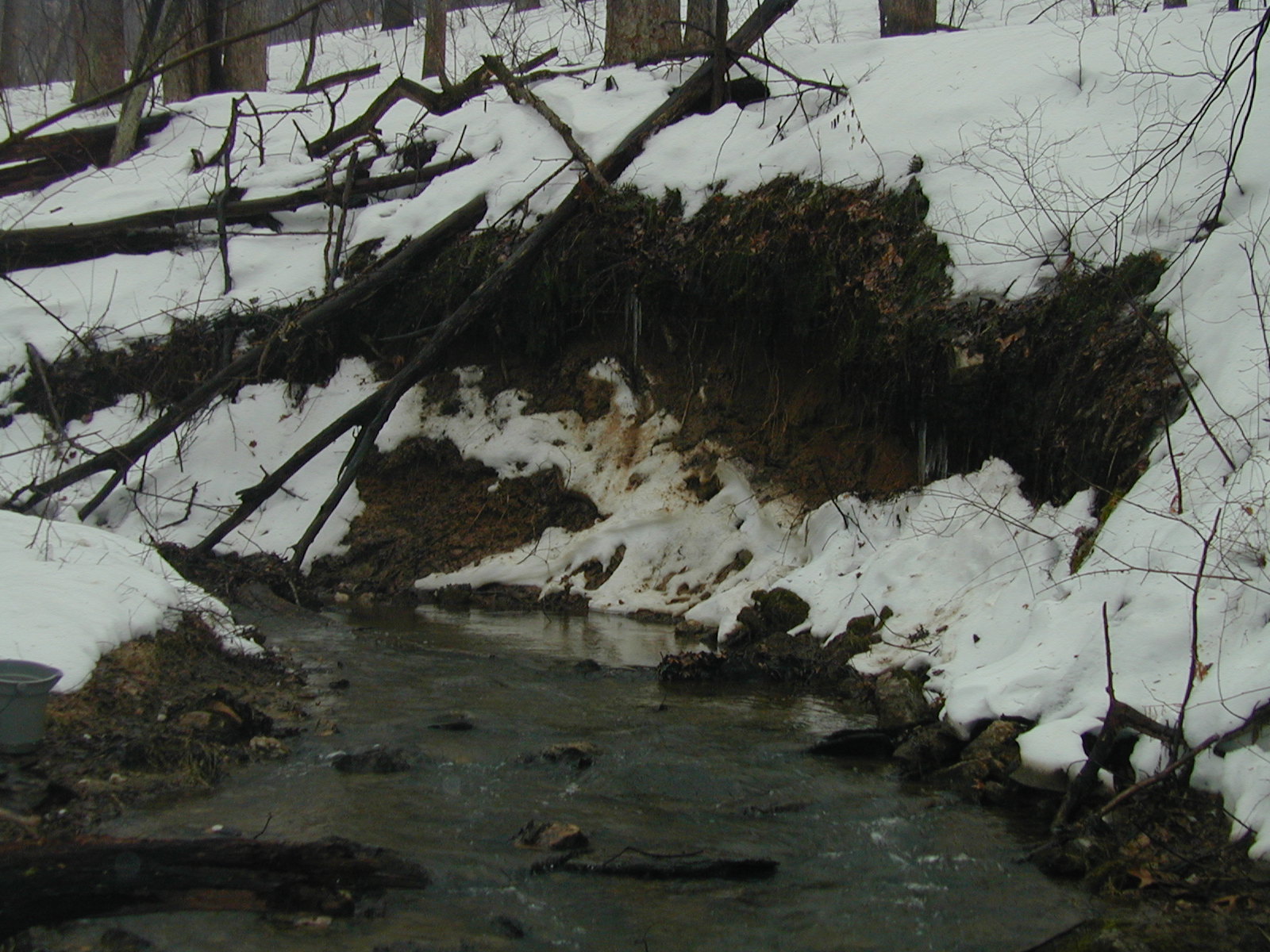 Field photo showing stream conditions at site LIBE-102-S-2003-641