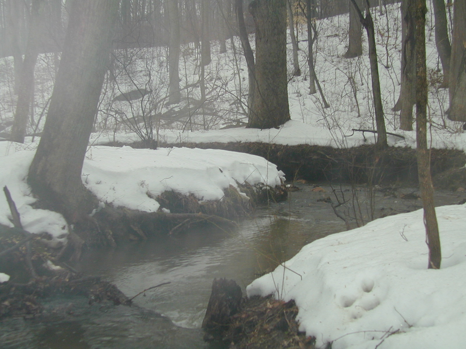 Field photo showing stream conditions at site LIBE-102-S-2003-642
