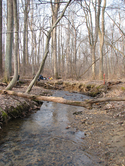 Field photo showing stream conditions at site LIBE-102-S-2007-1