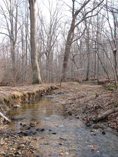 Field photo showing stream conditions at site LIBE-102-S-2007-2