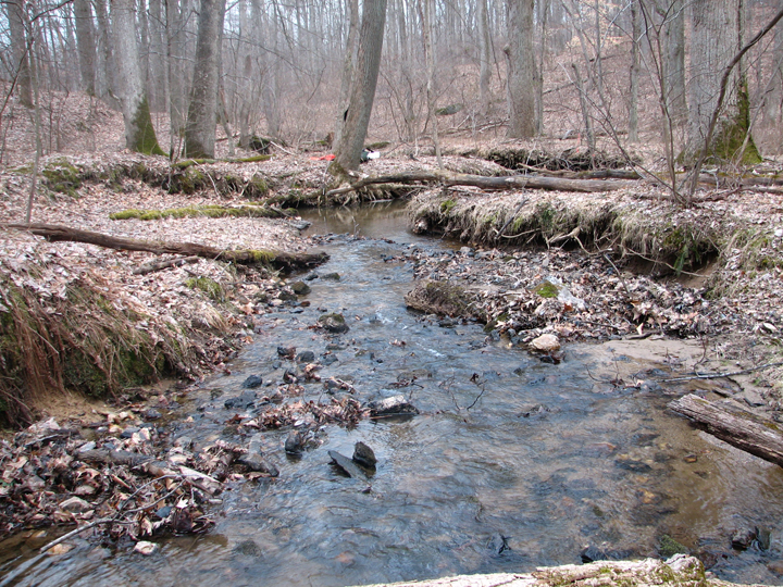 Field photo showing stream conditions at site LIBE-102-S-2008-1