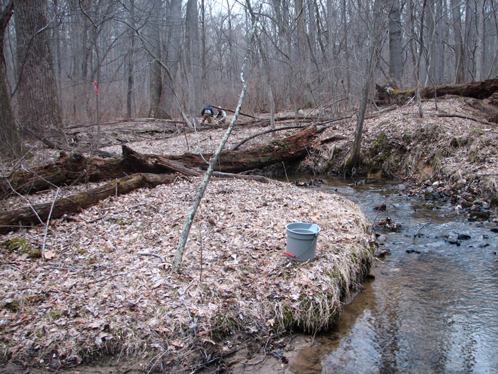 Field photo showing stream conditions at site LIBE-102-S-2008-2