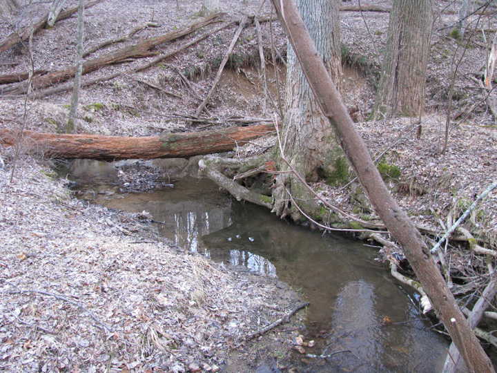 Field photo showing stream conditions at site LIBE-102-S-2009-1