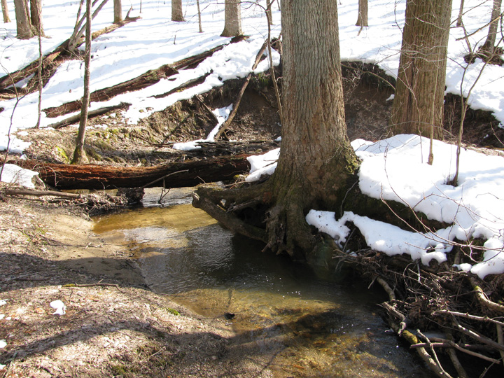 Field photo showing stream conditions at site LIBE-102-S-2010-1