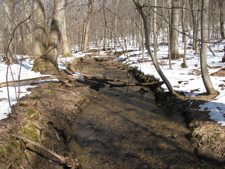 Field photo showing stream conditions at site LIBE-102-S-2010-2