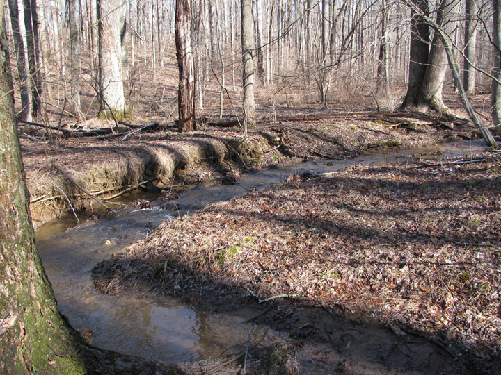 Field photo showing stream conditions at site LIBE-102-S-2011-1