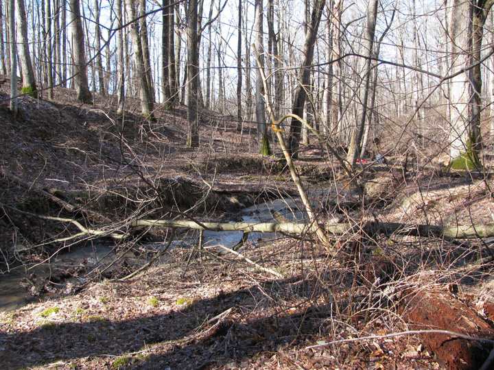 Field photo showing stream conditions at site LIBE-102-S-2011-2