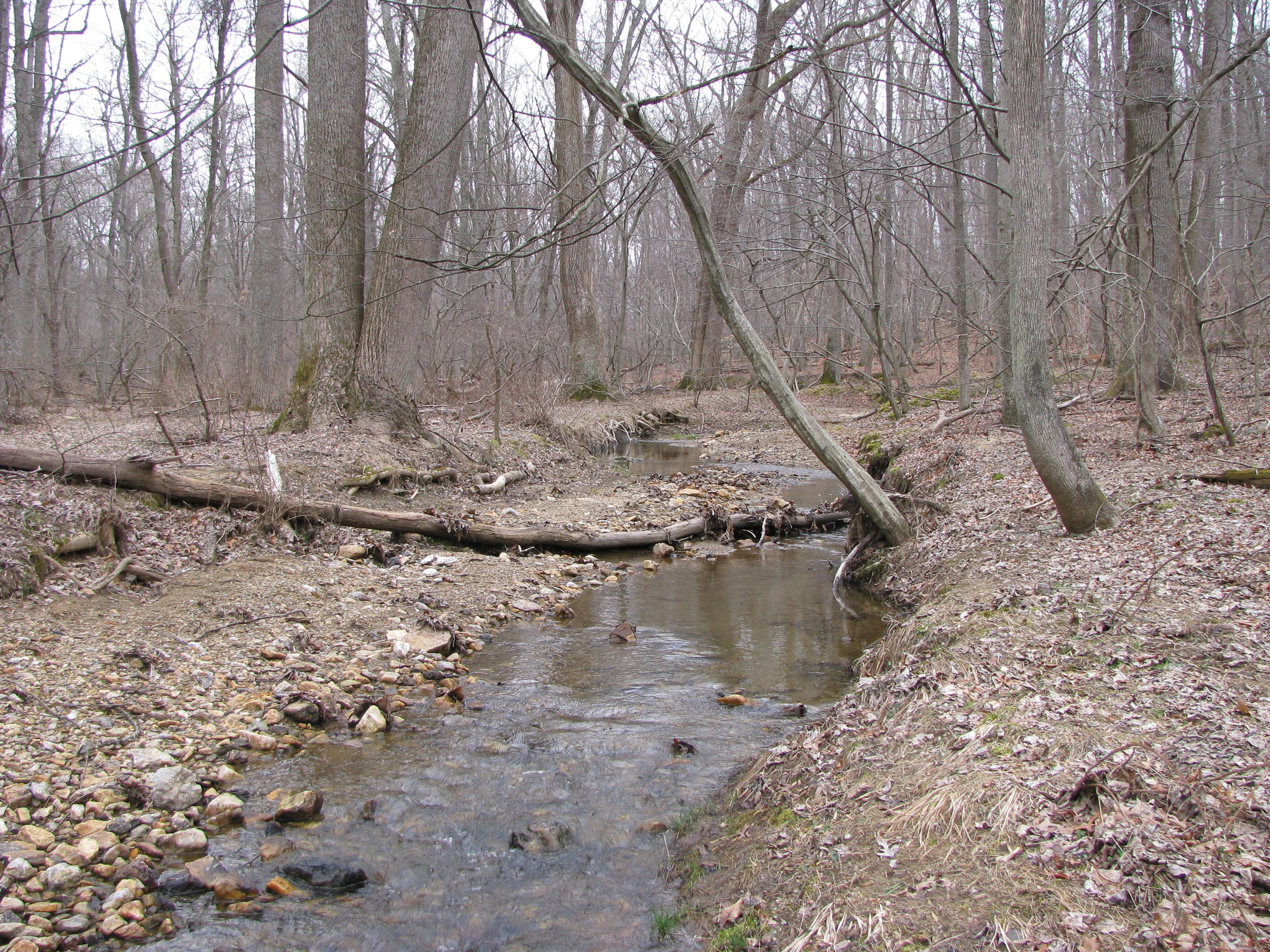 Field photo showing stream conditions at site LIBE-102-S-2012-1