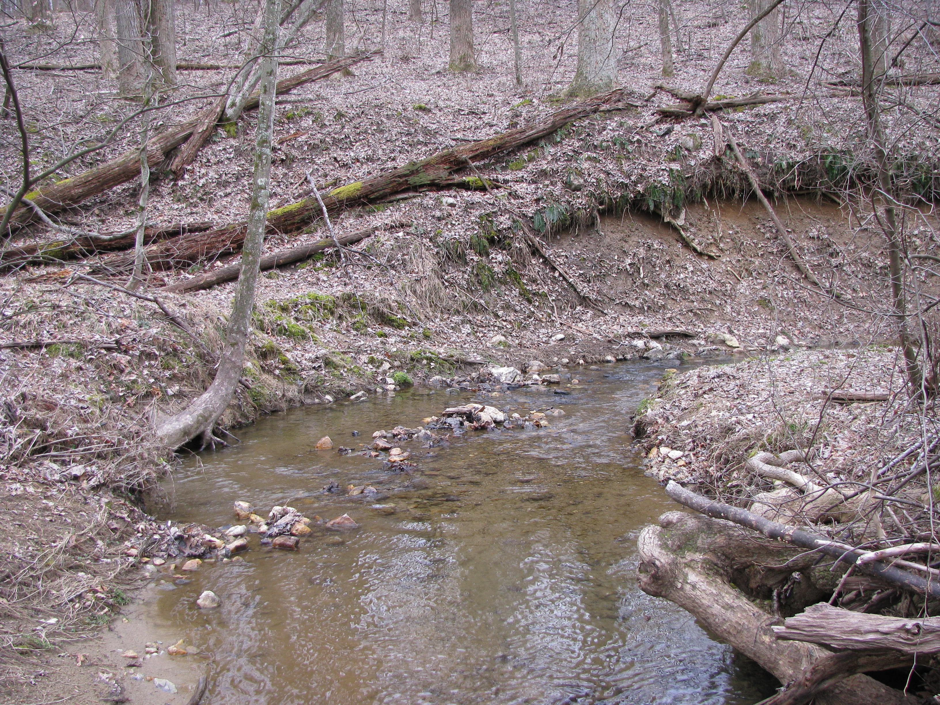 Field photo showing stream conditions at site LIBE-102-S-2012-2