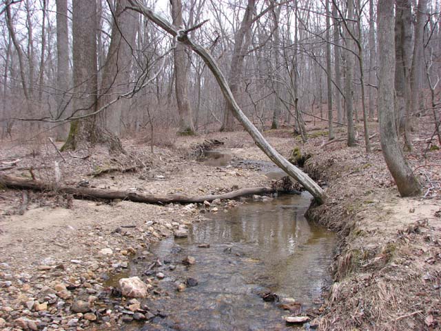 Field photo showing stream conditions at site LIBE-102-S-2013-1