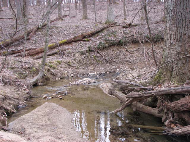 Field photo showing stream conditions at site LIBE-102-S-2013-2