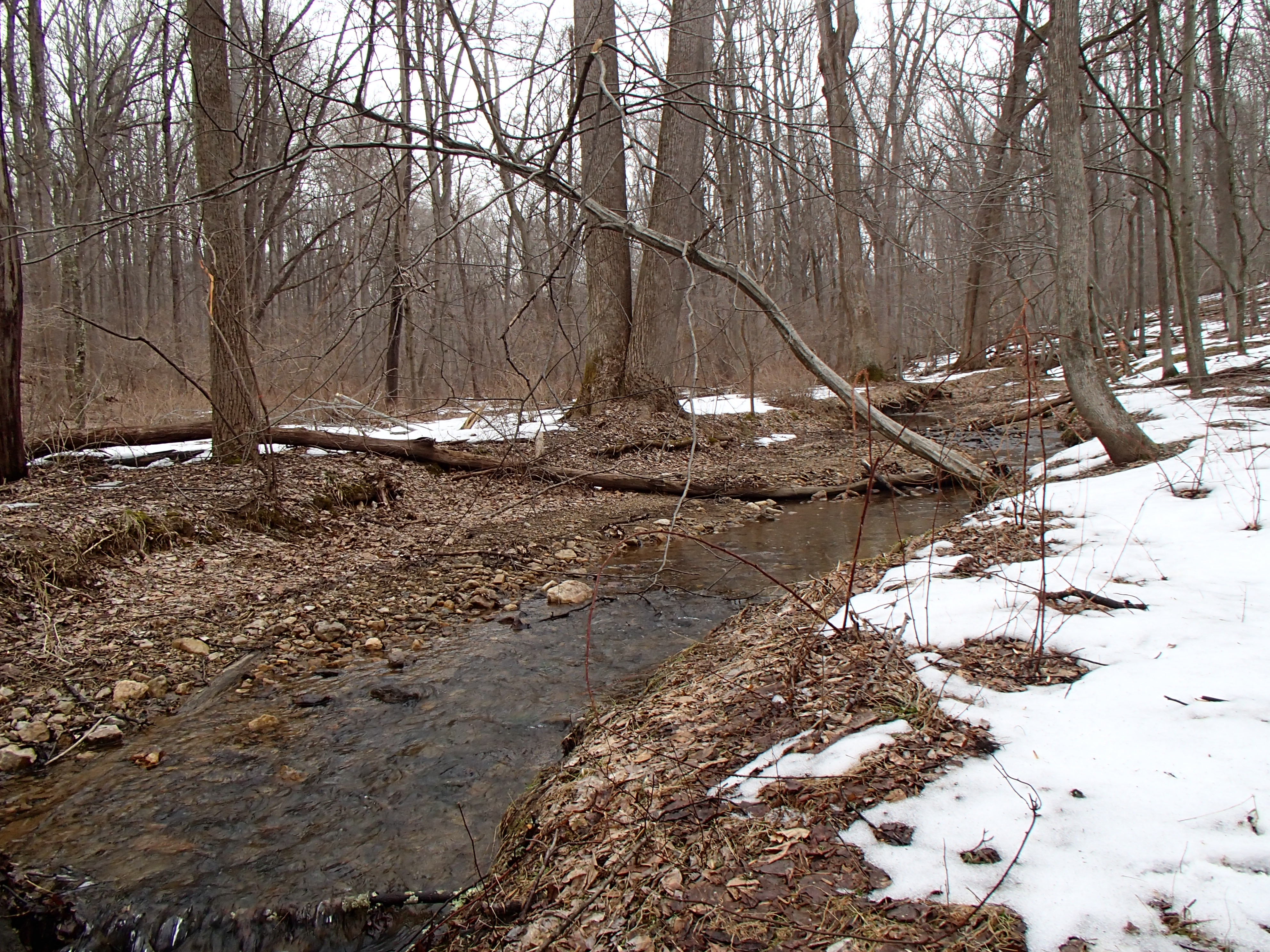 Field photo showing stream conditions at site LIBE-102-S-2014-1