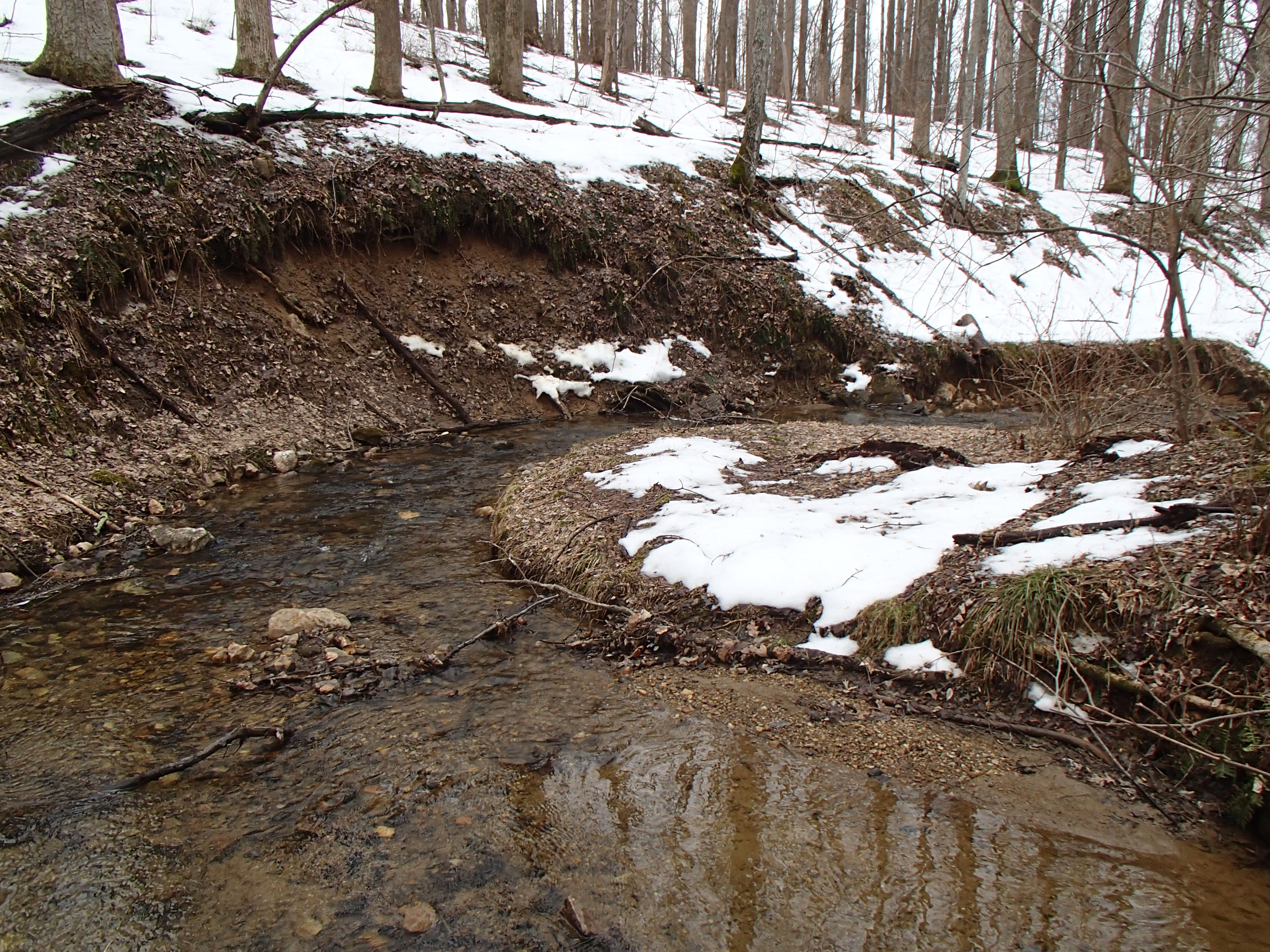 Field photo showing stream conditions at site LIBE-102-S-2014-2