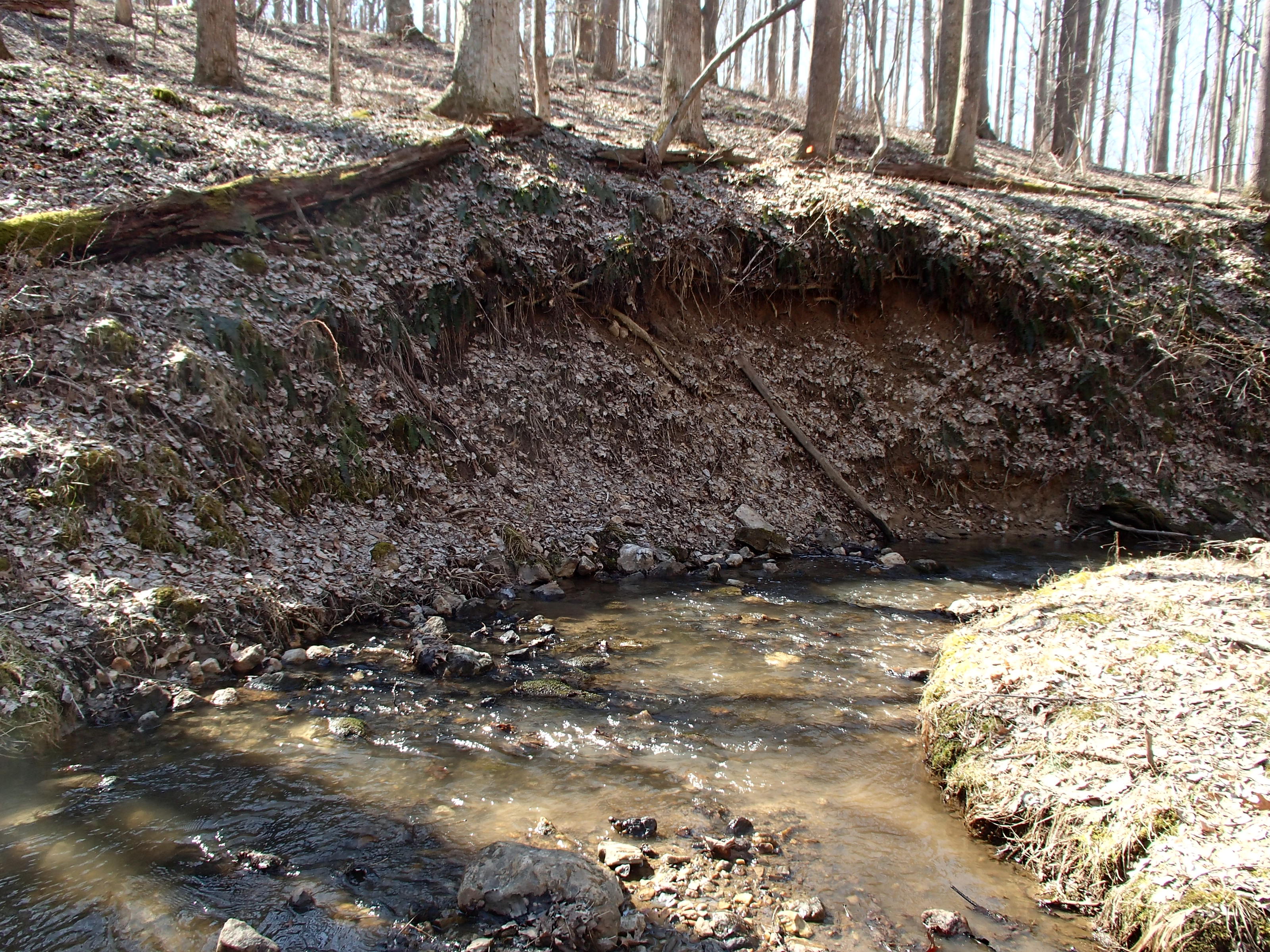 Field photo showing stream conditions at site LIBE-102-S-2015_Midpoint-looking-downstream