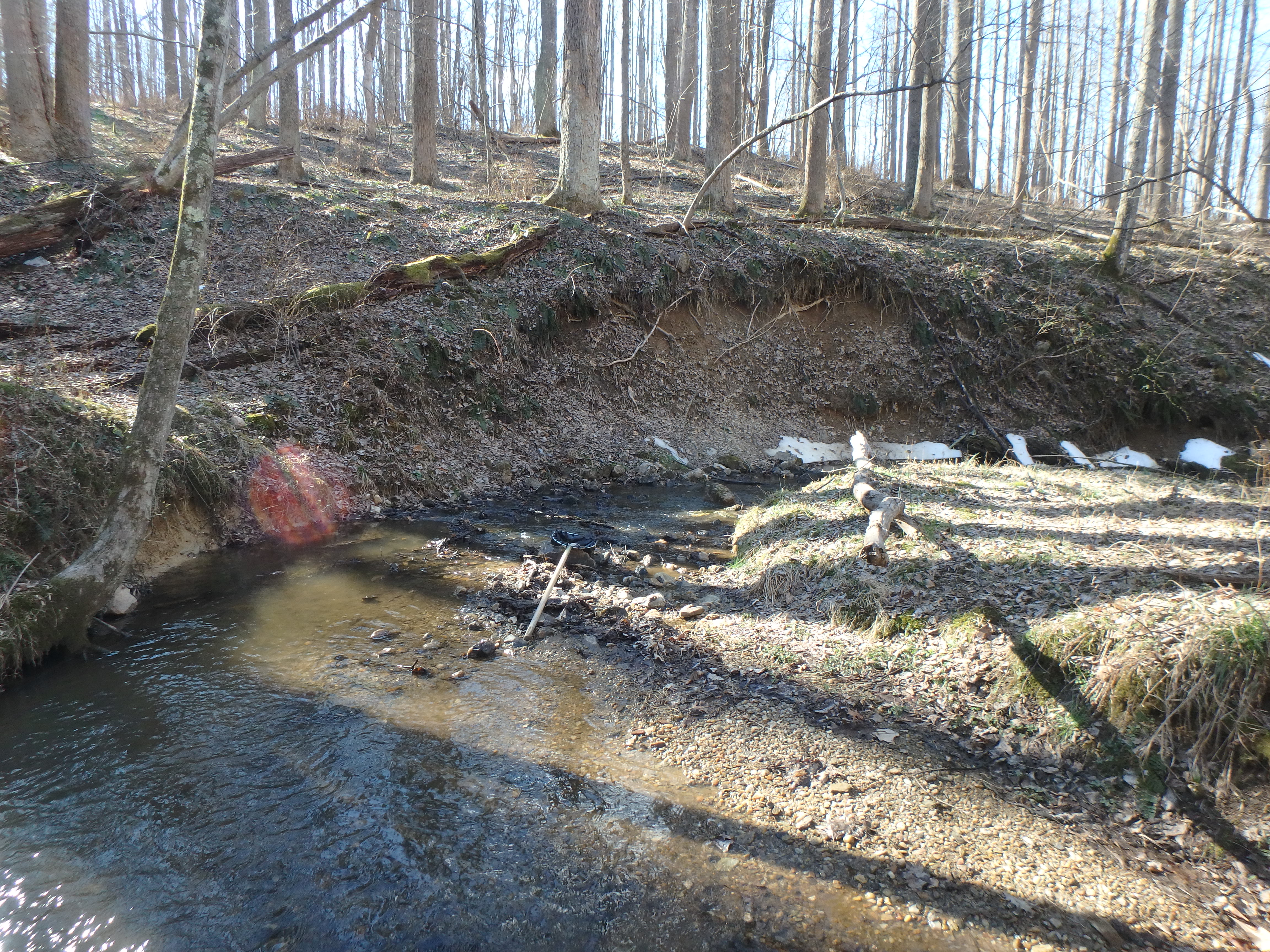 Field photo showing stream conditions at site LIBE-102-S-2017-MidpointLookingDownstream