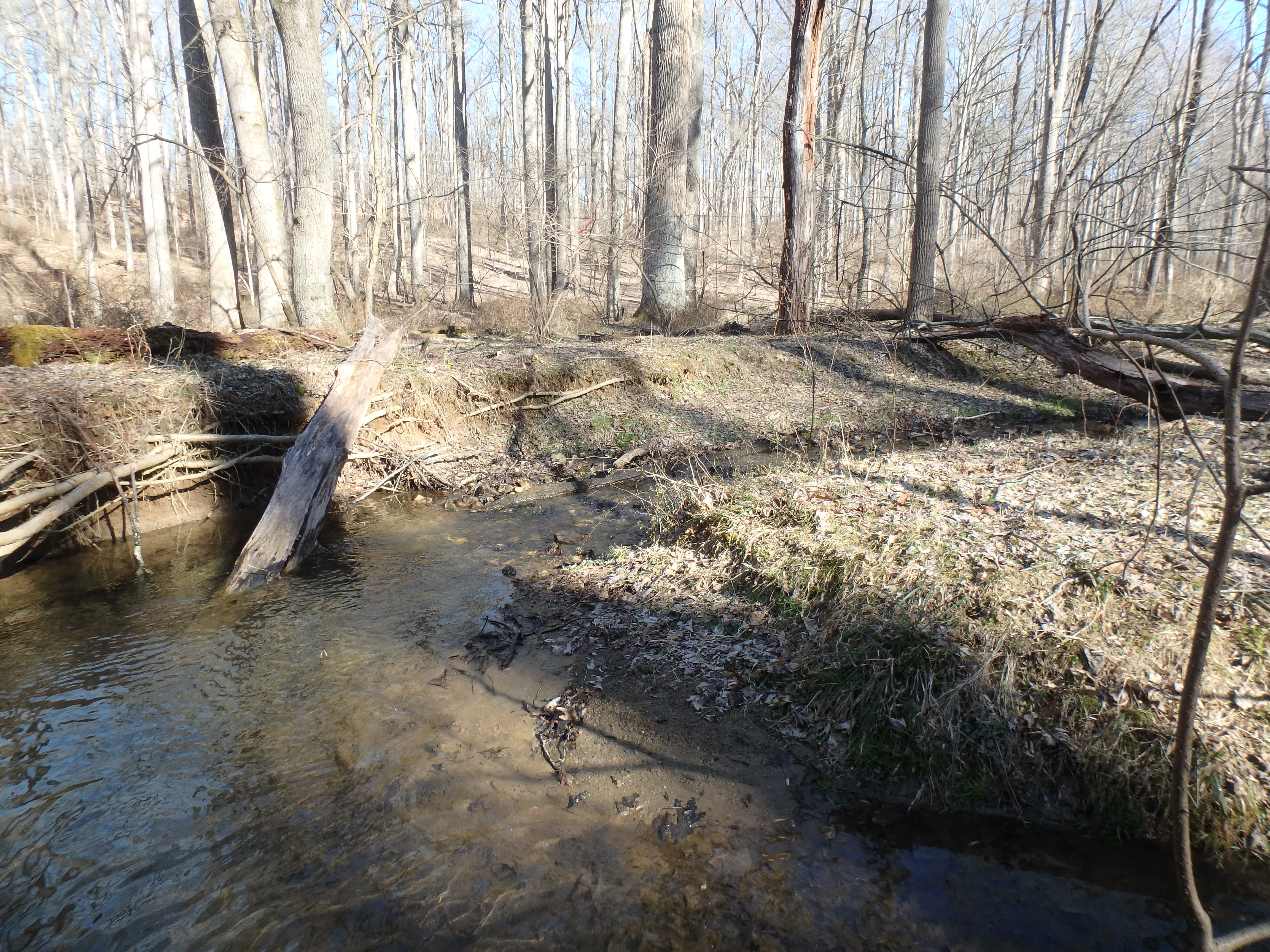 Field photo showing stream conditions at site LIBE-102-S-2017-MidpointLookingUpstream