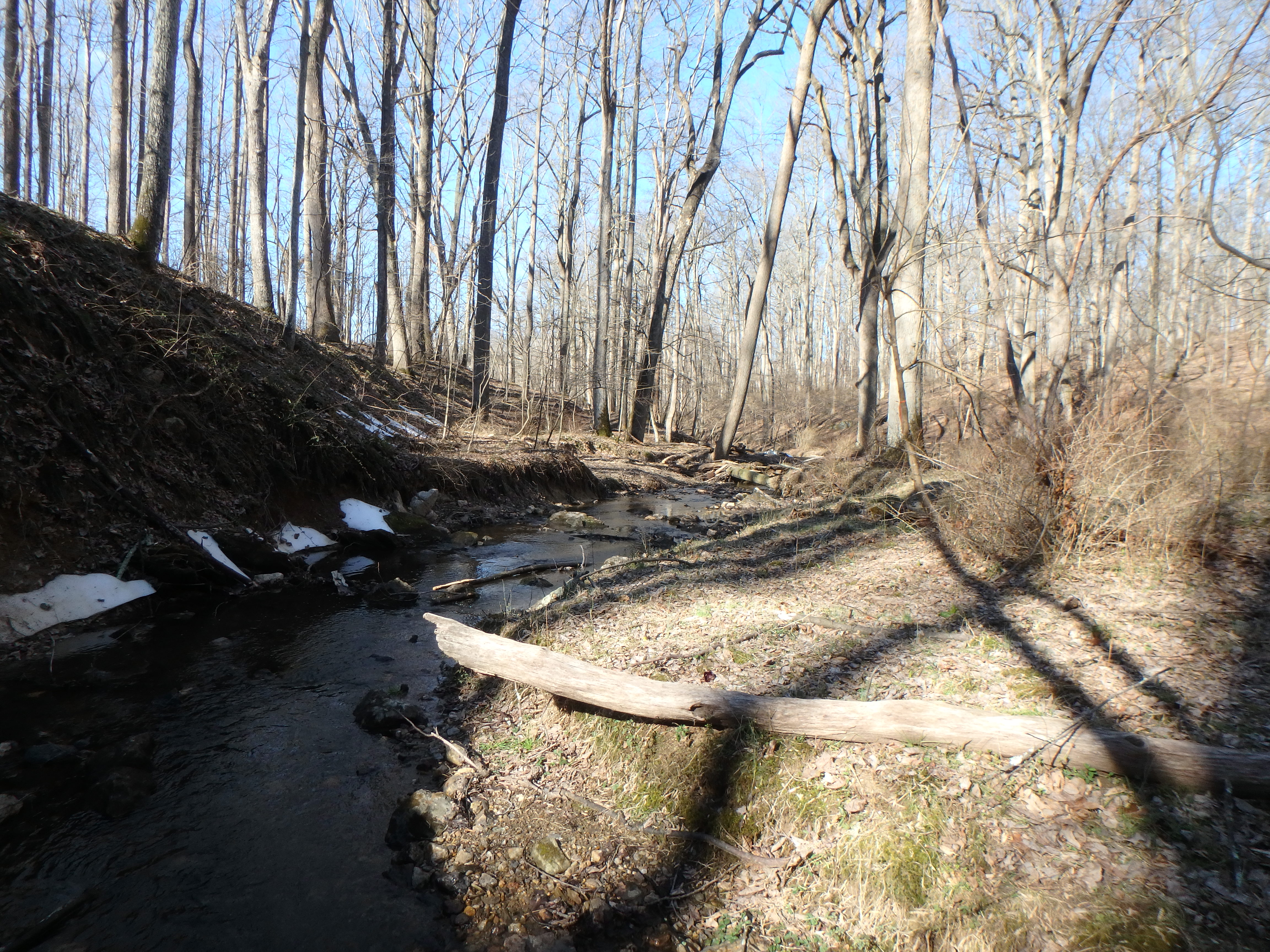 Field photo showing stream conditions at site LIBE-102-S-2017-OutOfMidpointBendLookingDownstream