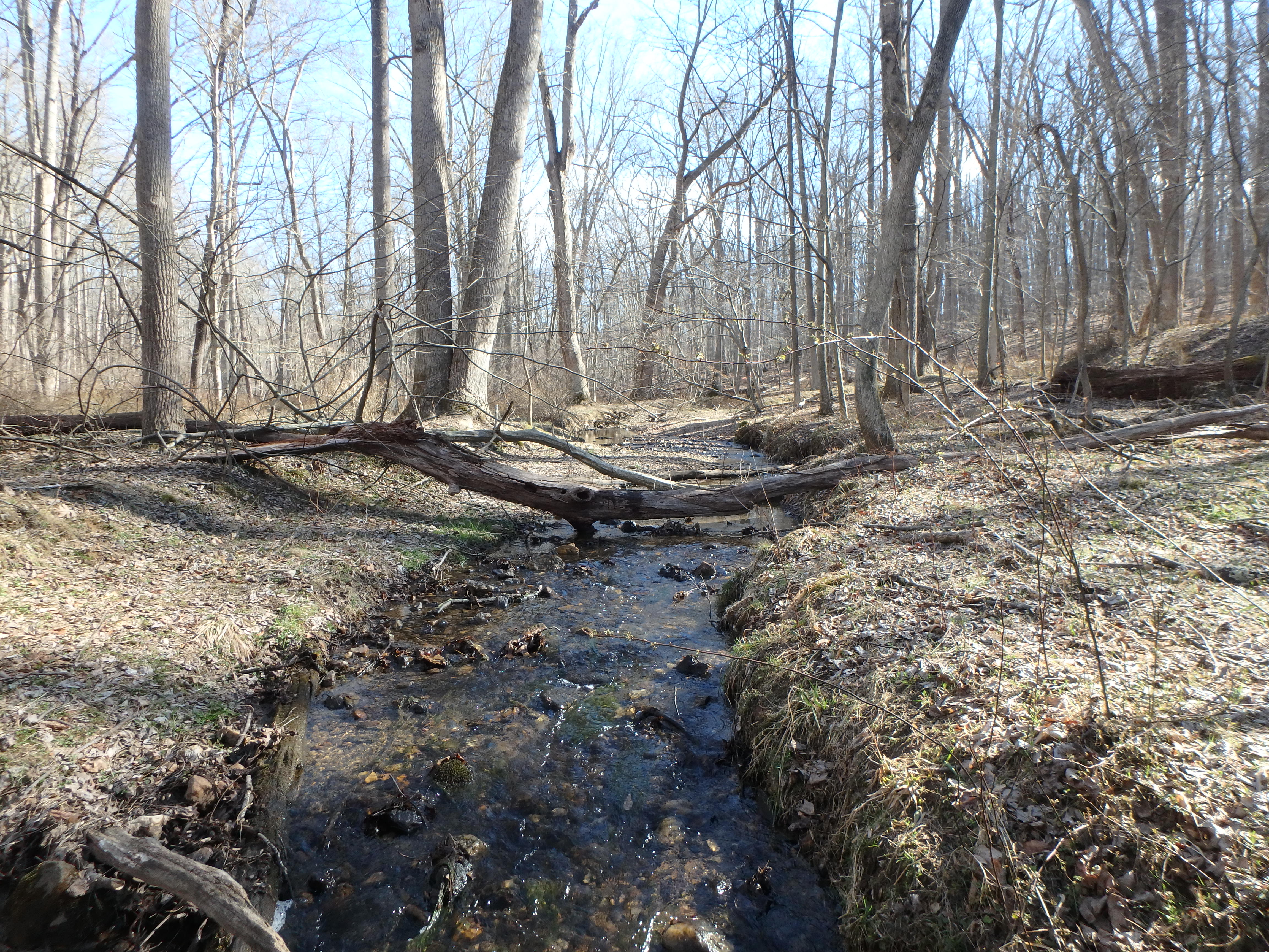 Field photo showing stream conditions at site LIBE-102-S-2017-OutOfMidpointBendLookingUpstream