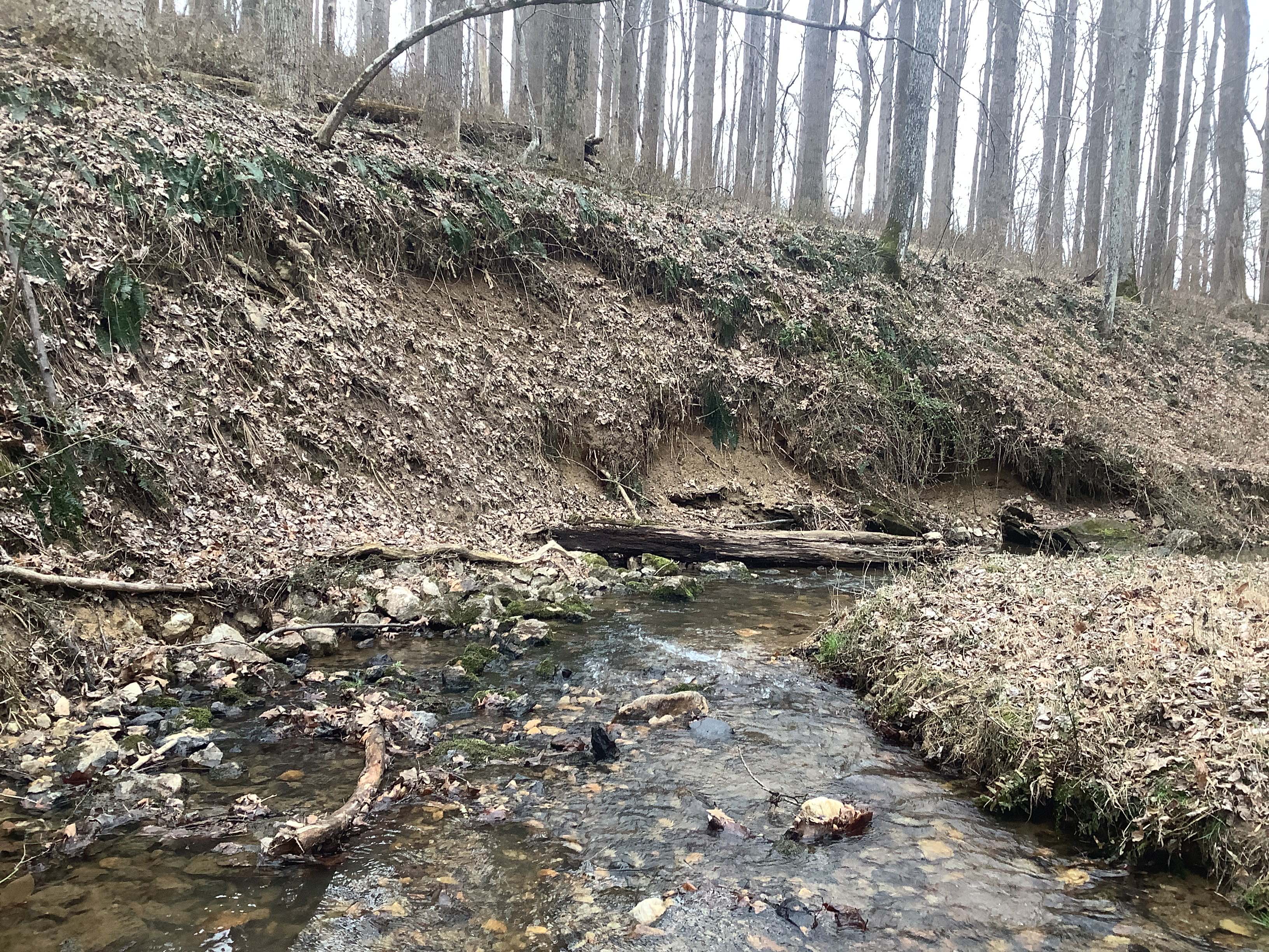 Field photo showing stream conditions at site LIBE-102-S-2023_Midpoint_facing_downstream