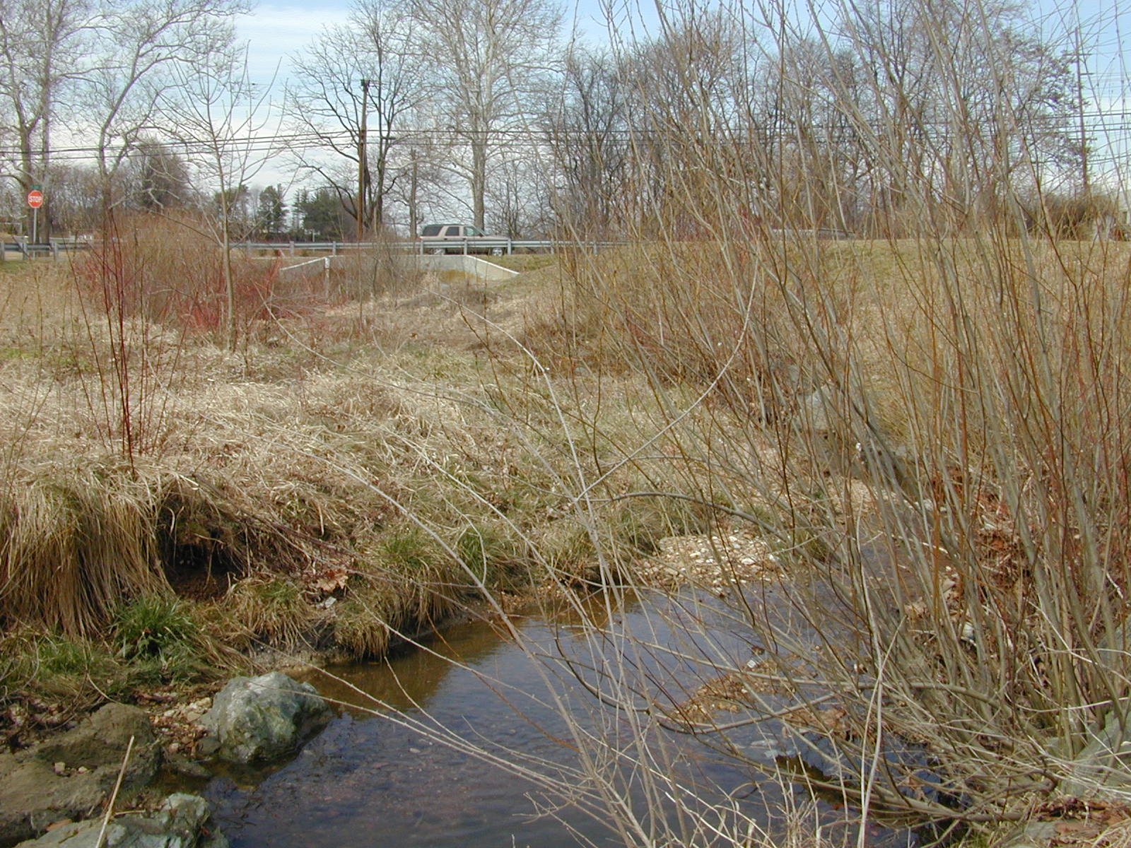 Field photo showing stream conditions at site LIBE-102-X-2002-2