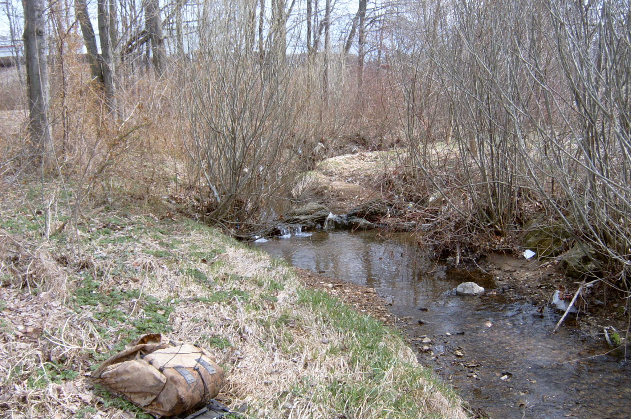 Field photo showing stream conditions at site LIBE-102-X-2004-4