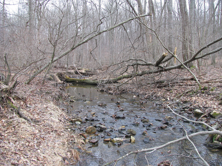 Field photo showing stream conditions at site LIBE-102-X-2011-1