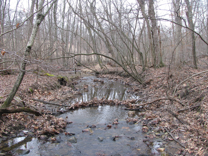 Field photo showing stream conditions at site LIBE-102-X-2011-2