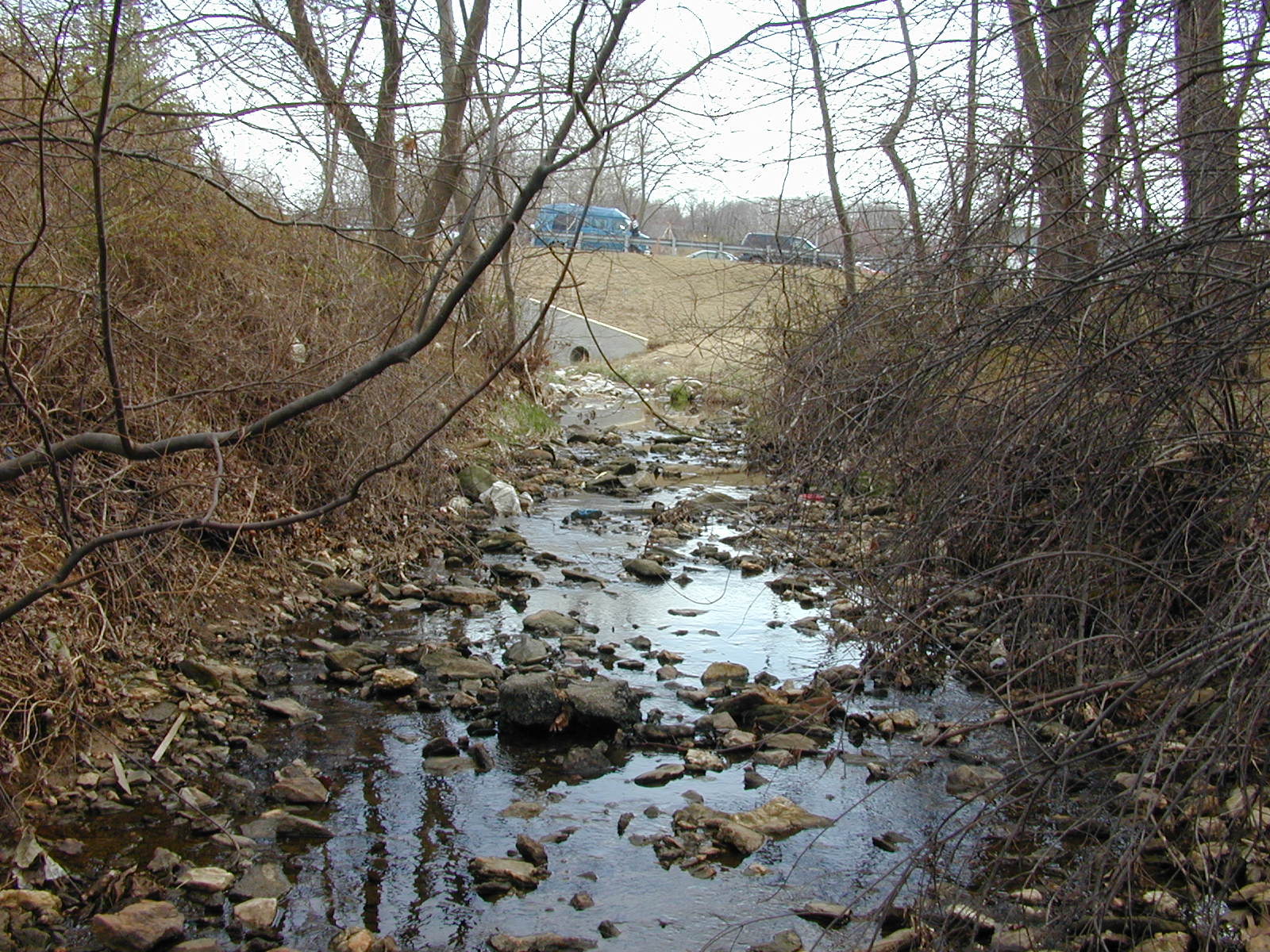 Field photo showing stream conditions at site LIBE-103-X-2002-1