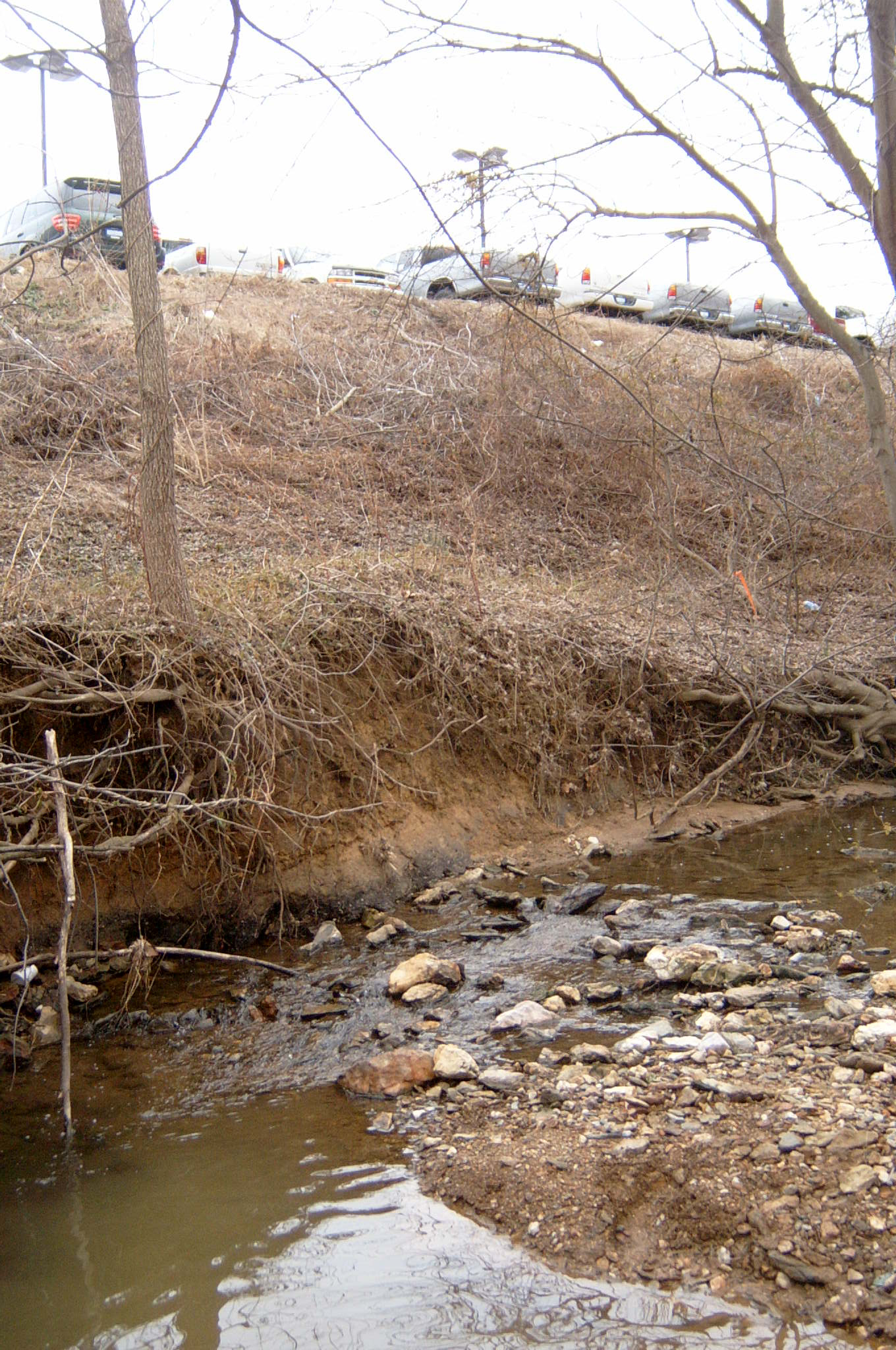 Field photo showing stream conditions at site LIBE-103-X-2004-5