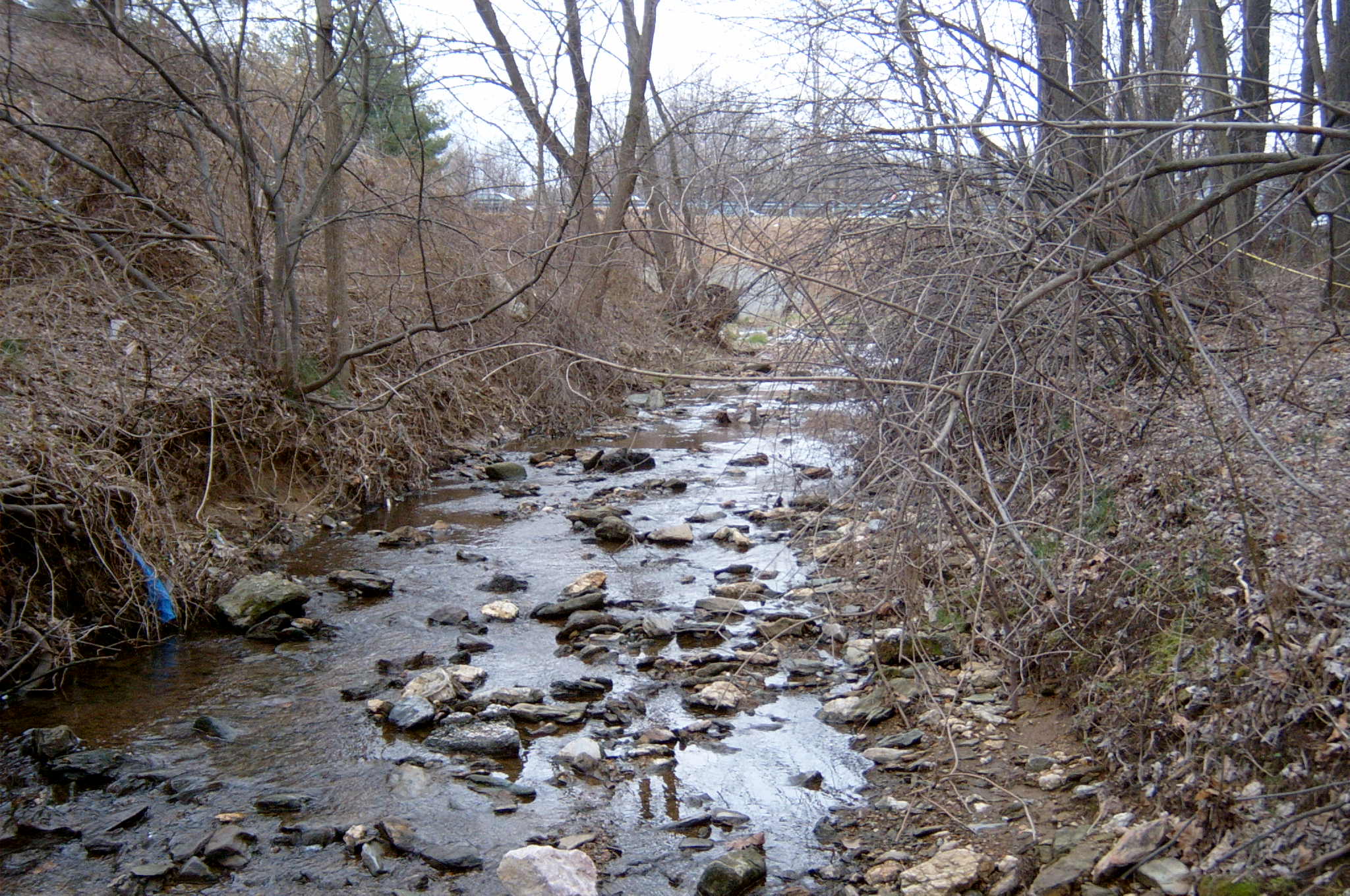 Field photo showing stream conditions at site LIBE-103-X-2004-6
