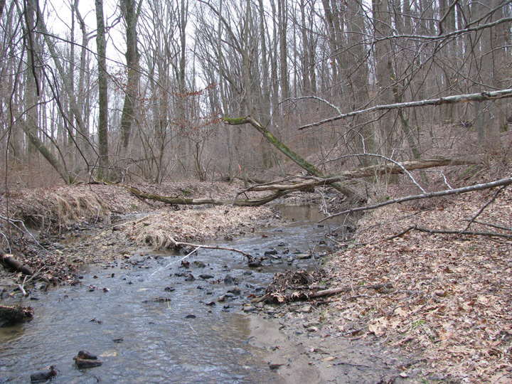 Field photo showing stream conditions at site LIBE-103-X-2011-1