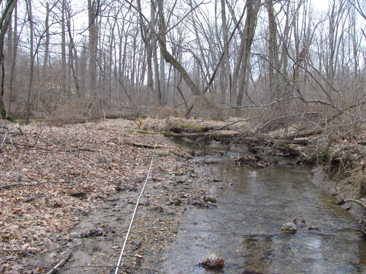 Field photo showing stream conditions at site LIBE-103-X-2011-2