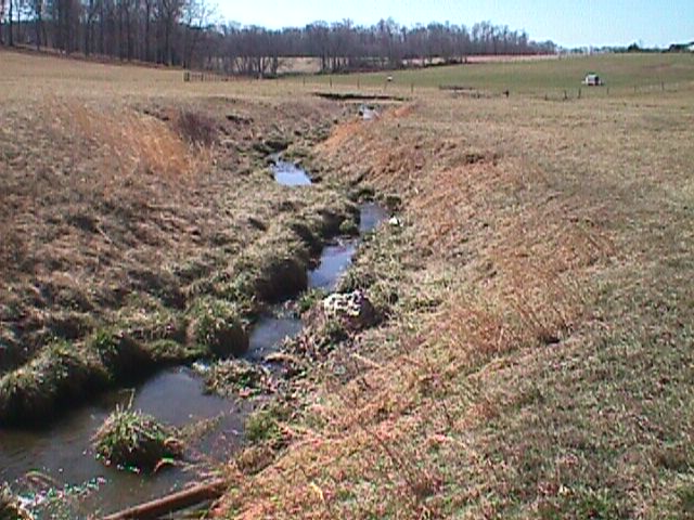 Field photo showing stream conditions at site LIBE-104-R-2000-03_02