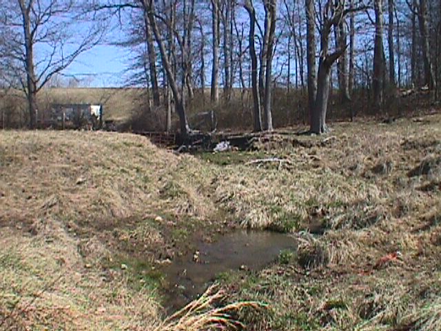 Field photo showing stream conditions at site LIBE-104-R-2000-03_03