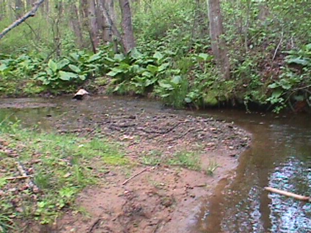 Field photo showing stream conditions at site LIBE-105-C-2000-16_01