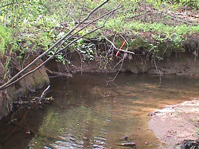 Field photo showing stream conditions at site LIBE-105-C-2000-16_03