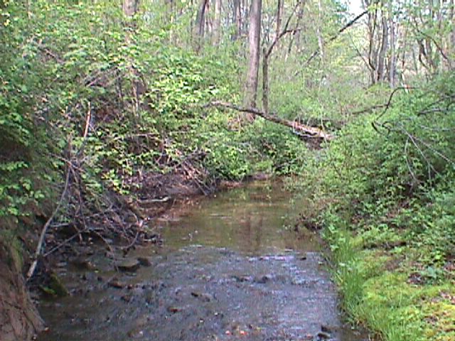 Field photo showing stream conditions at site LIBE-105-C-2000-16_04