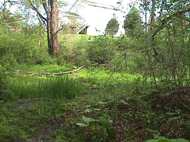 Field photo showing stream conditions at site LIBE-105-C-2000-16_06