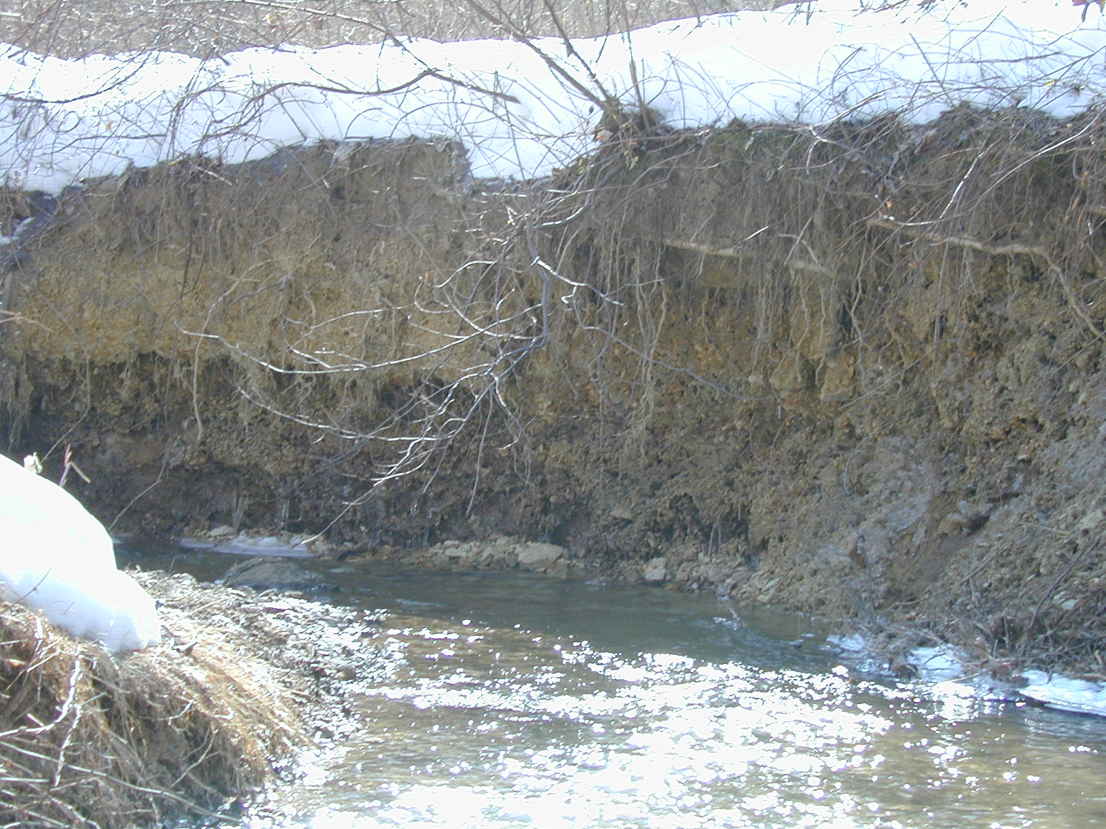 Field photo showing stream conditions at site LIBE-105-R-2003-617