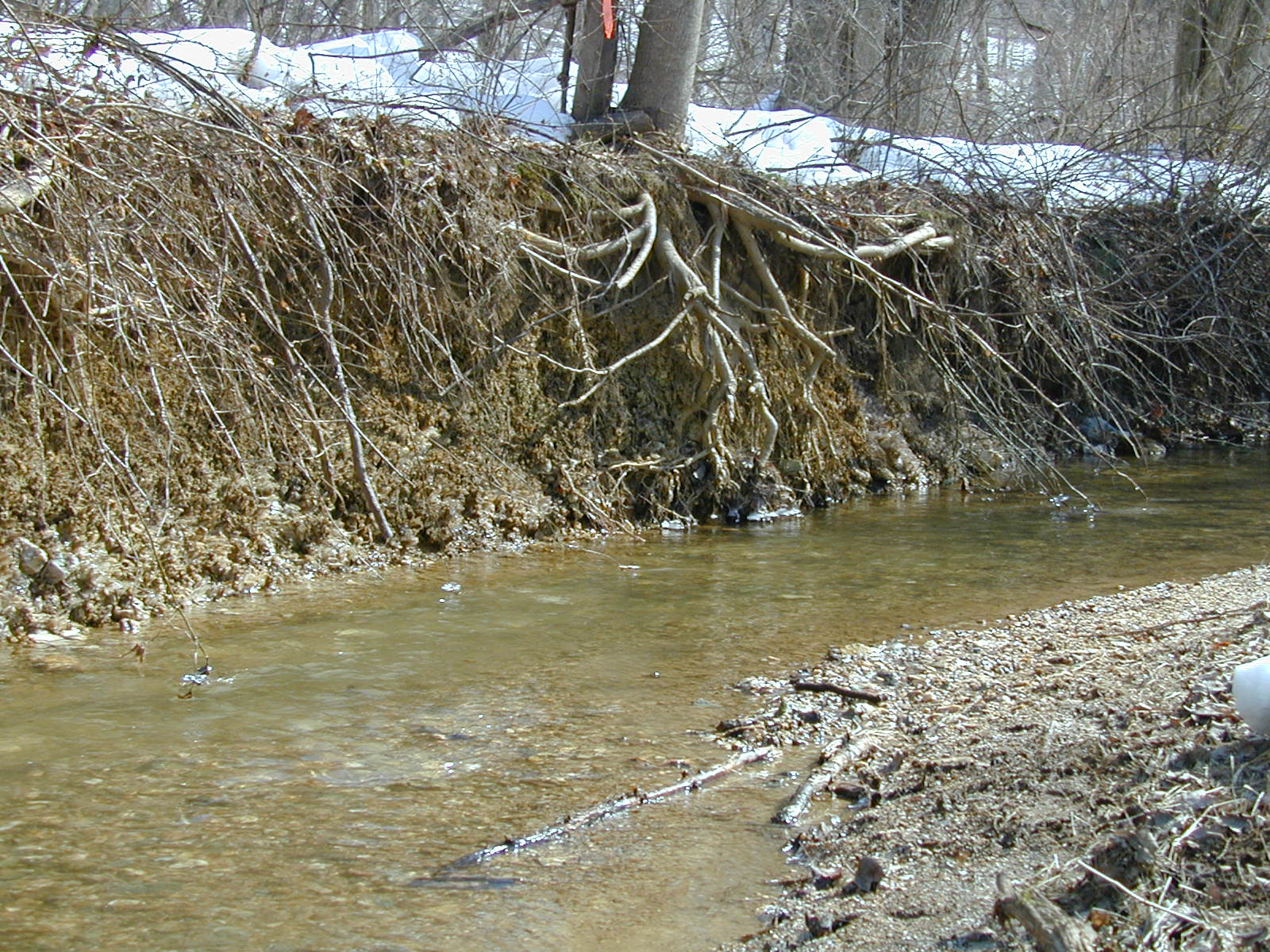 Field photo showing stream conditions at site LIBE-105-R-2003-618