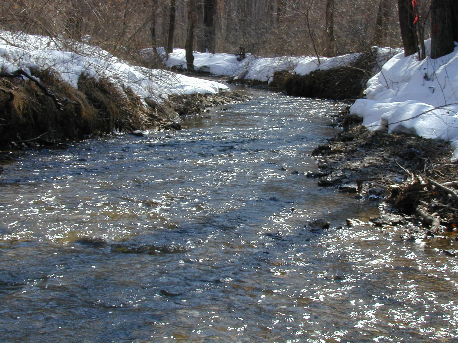 Field photo showing stream conditions at site LIBE-105-R-2003-619