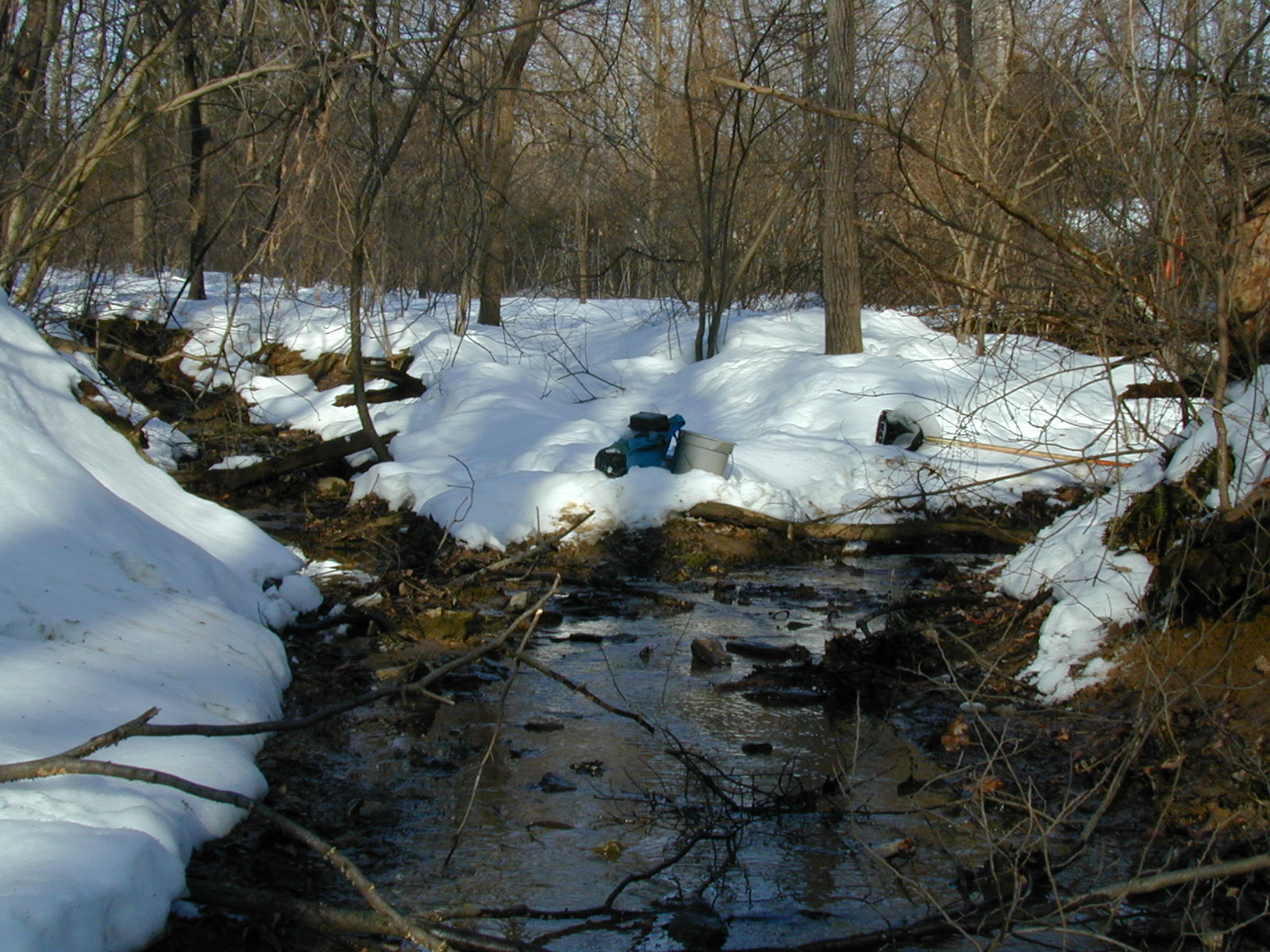 Field photo showing stream conditions at site LIBE-106-R-2003-630