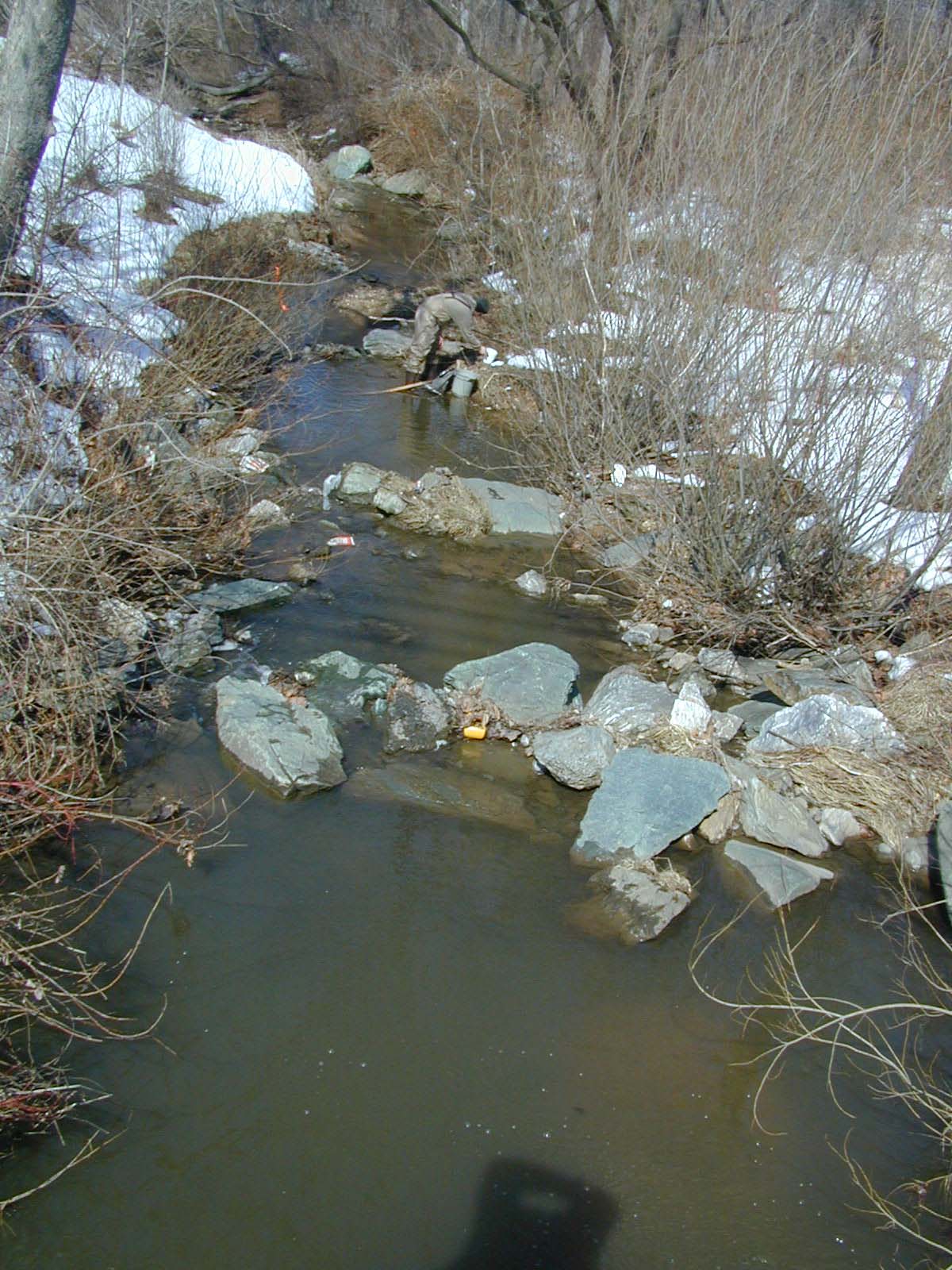 Field photo showing stream conditions at site LIBE-107-R-2003-620