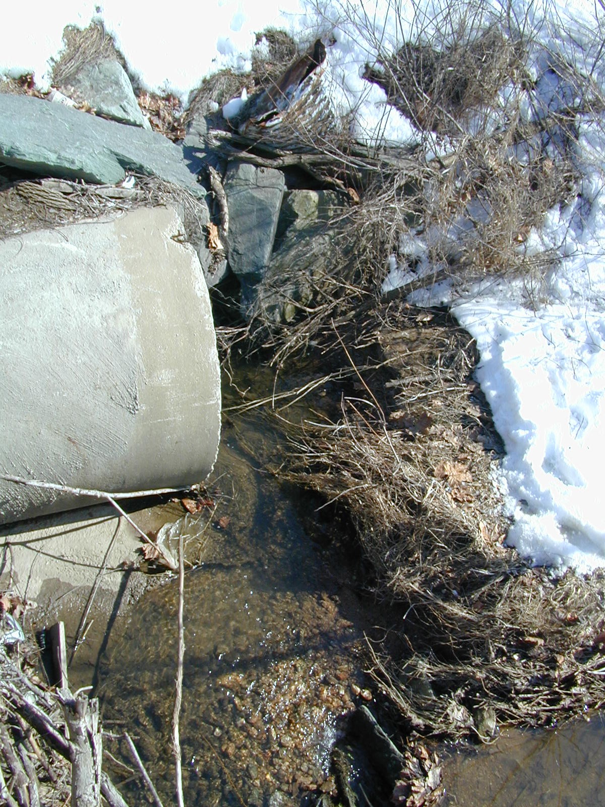 Field photo showing stream conditions at site LIBE-107-R-2003-622