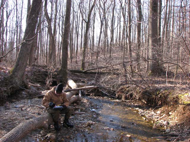 Field photo showing stream conditions at site LIBE-109-A-2013-1
