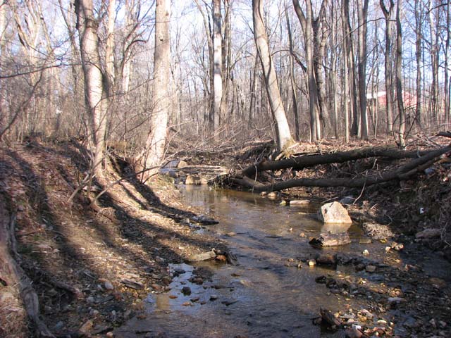 Field photo showing stream conditions at site LIBE-109-A-2013-S