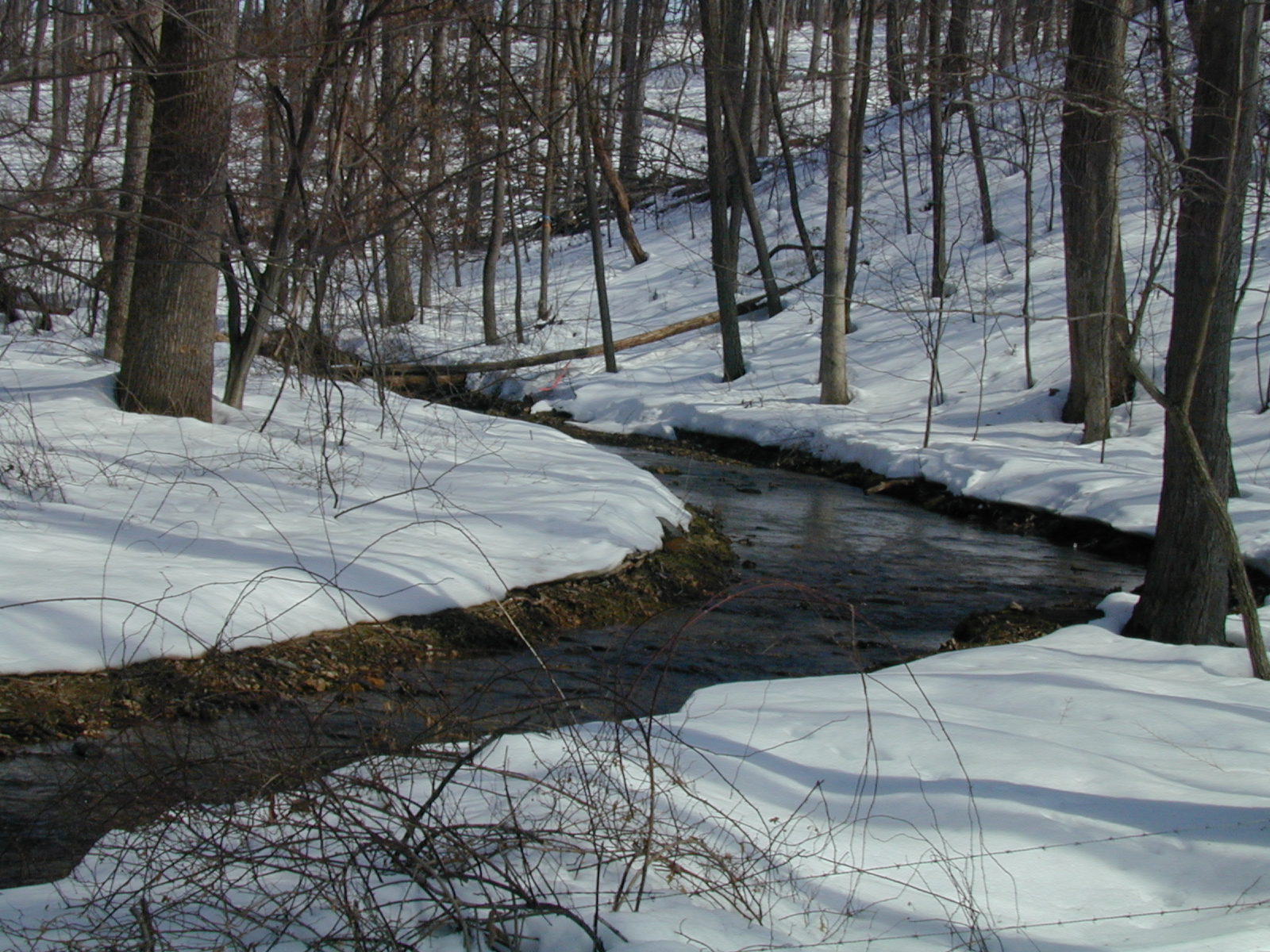Field photo showing stream conditions at site LIBE-109-R-2003-635