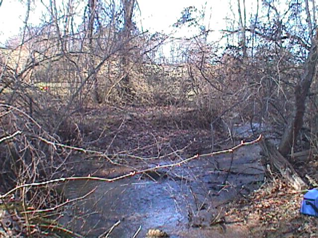 Field photo showing stream conditions at site LIBE-110-R-2000-03_12