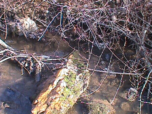 Field photo showing stream conditions at site LIBE-110-R-2000-03_13