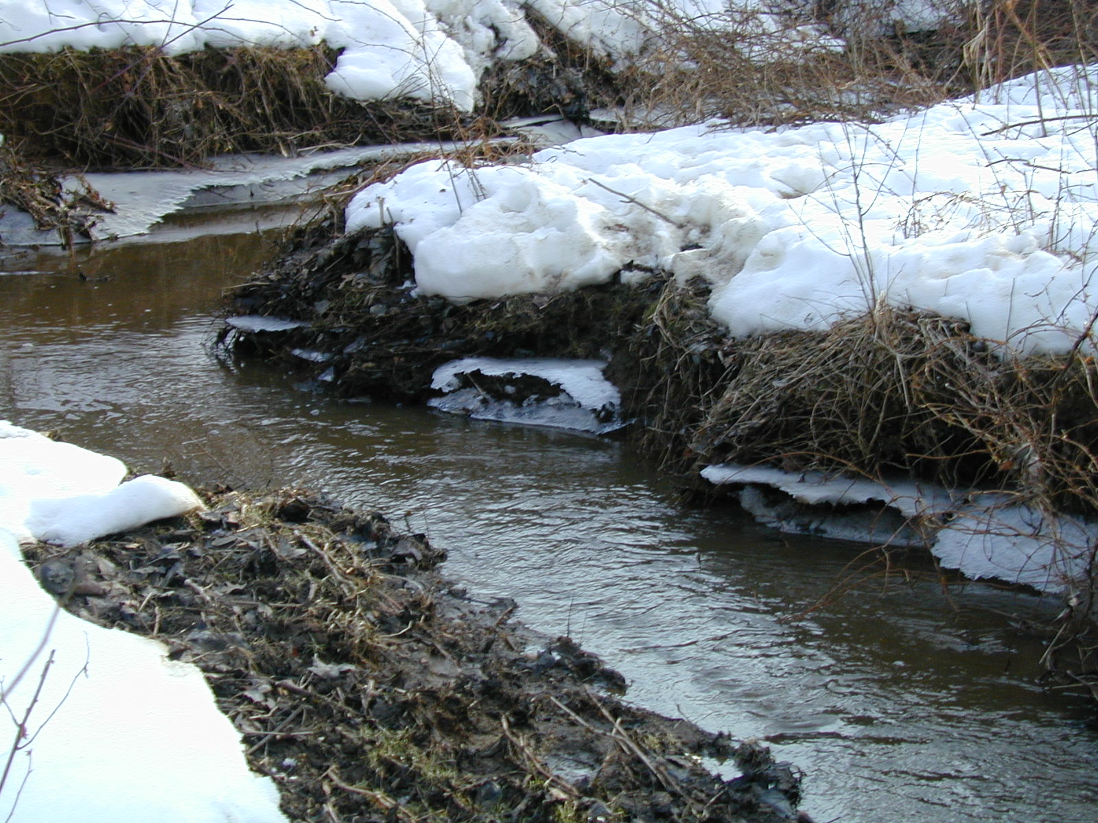 Field photo showing stream conditions at site LIBE-110-R-2003-627